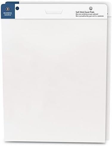 Business Source Easel Pad 2 Pack for Art and Writing