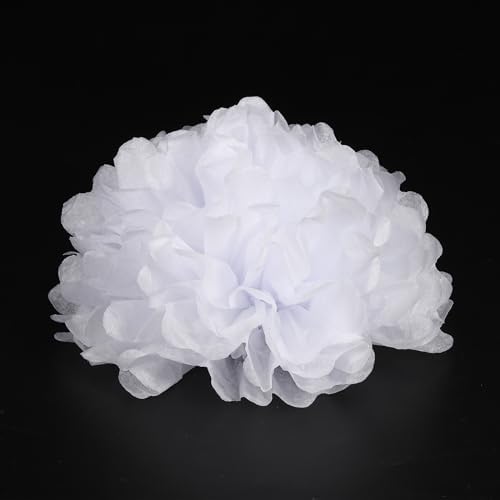 10 Pack Tissue Pom Poms Flowers for Wedding Decorations