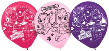 Deluxe Paw Patrol Girl Birthday Party Pack For 16