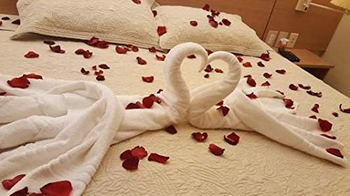 HEIPIN 2000 PCS Fake Rose Petals for Proposal Decorations and Aisle Runners for Weddings