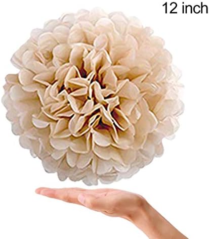 Tissue Paper Pom Poms 22 Pcs Assorted Colors Sizes for Party Decorations