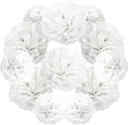 Yosawa 12 Pcs Tissue Paper Pom Poms Flowers Decorations