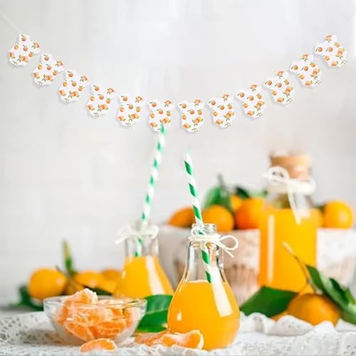 Little Cutie Bodysuit Banner with Citrus Design