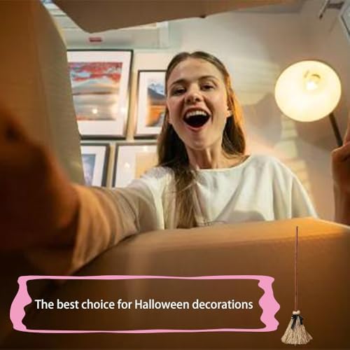 Animated Halloween Broom with Lights and Sound