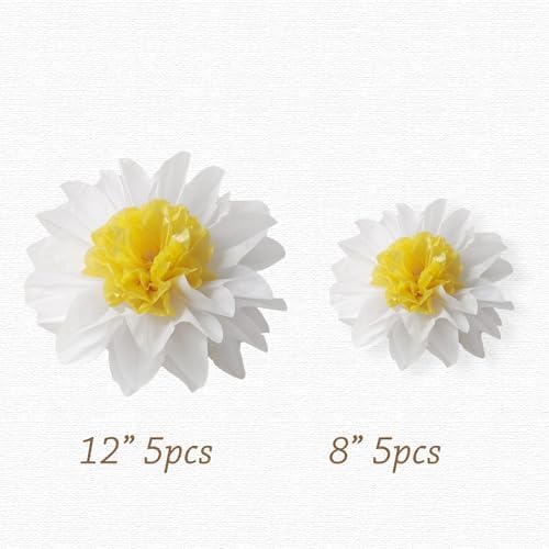 Daisy Tissue Paper Pom Poms 12 and 8 Inch Assorted 10 Pack