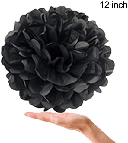 Tissue Paper Pom Poms 22Pcs Set for Party Decorations