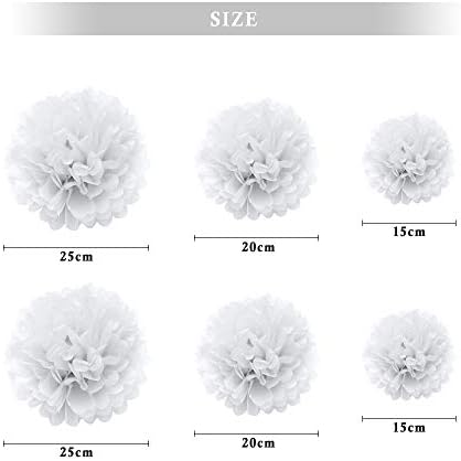 Binpeng Paper Pom Poms Wedding Decorations 6PCS White