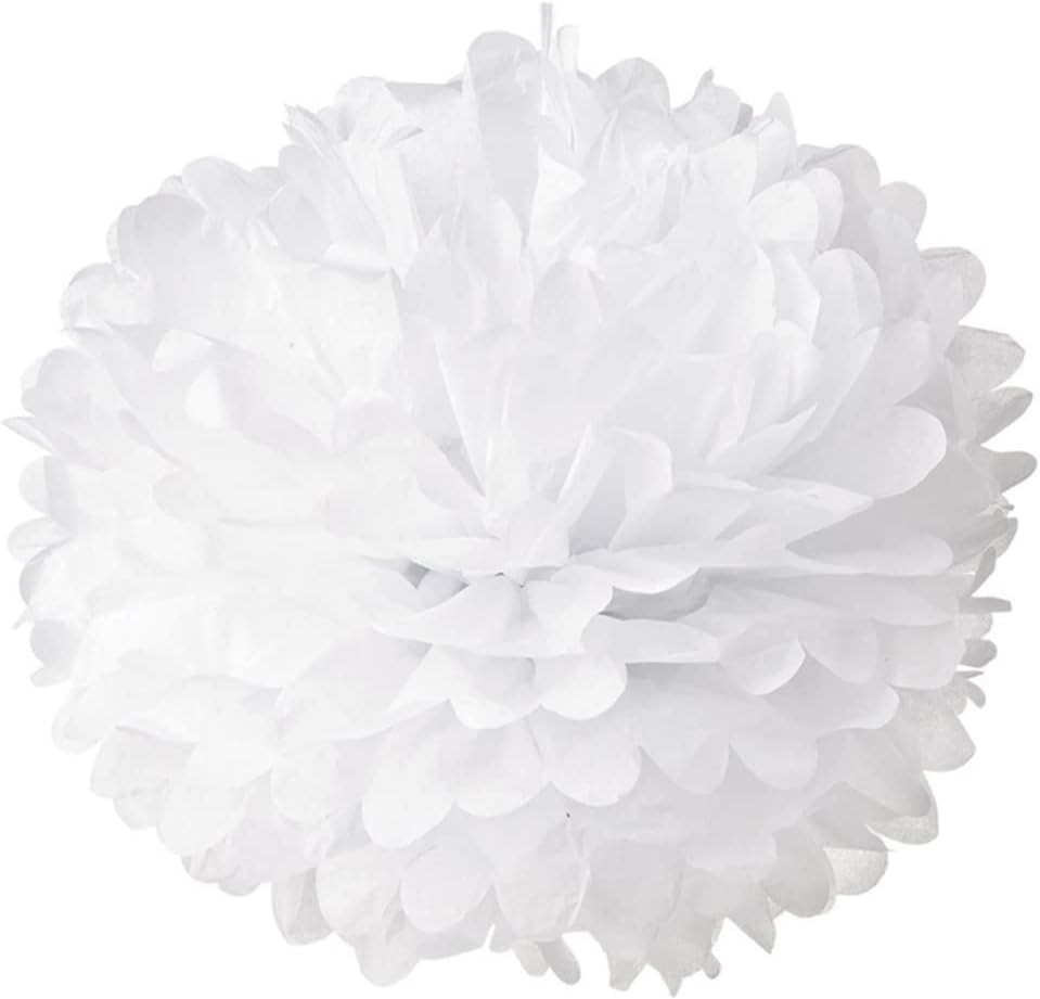 LIFKOME 25cm Tissue Pom Poms 10pcs for Wedding Party Decorations