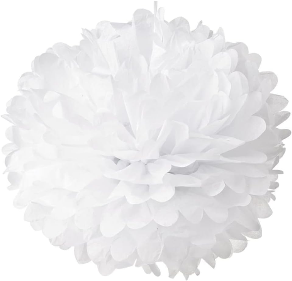 Parliky 10pcs 25cm Paper Tissue Pom Poms for Wedding Decorations