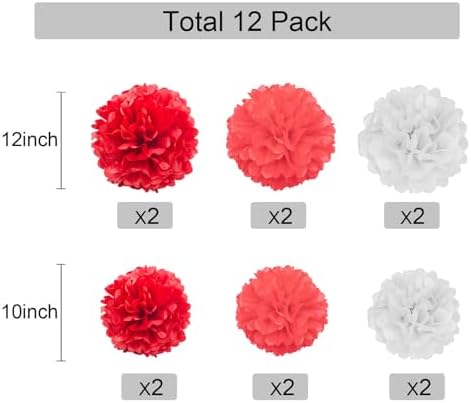 GAKA Red and White Tissue Paper Pom Poms 12Pcs Decorations