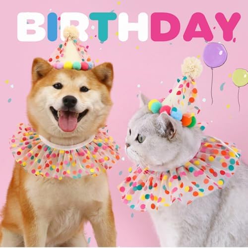 Cat Birthday Party Decorations Kit 38 Pcs