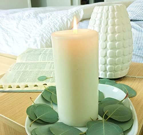 300 Pcs Dried Eucalyptus Leaves Decor