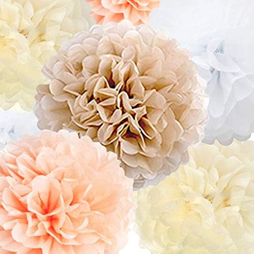 Tissue Paper Pom Poms 22 Pcs Assorted Colors Sizes for Party Decorations