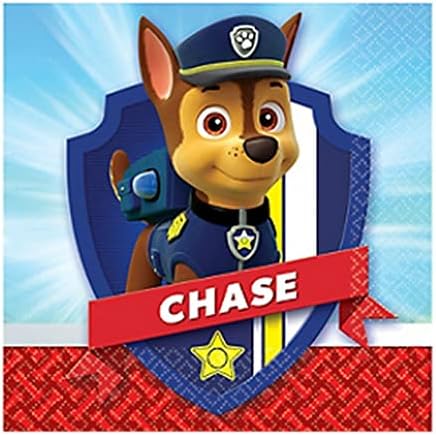 Paw Patrol Party Supplies Bundle 48 Napkins 1 Sticker Sheet
