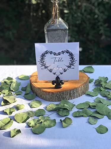 300 Pcs Dried Eucalyptus Leaves Decor