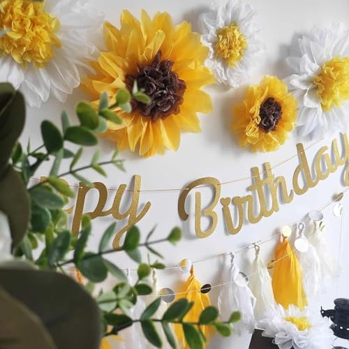 Daisy Tissue Paper Pom Poms 12 and 8 Inch Assorted 10 Pack