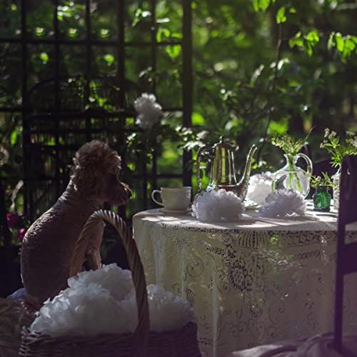 White Tissue Paper Pom Poms - Assorted Sizes - 16 Piece Set