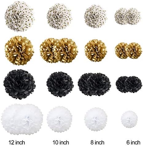 Tissue Paper Pom Poms 22Pcs Set for Party Decorations
