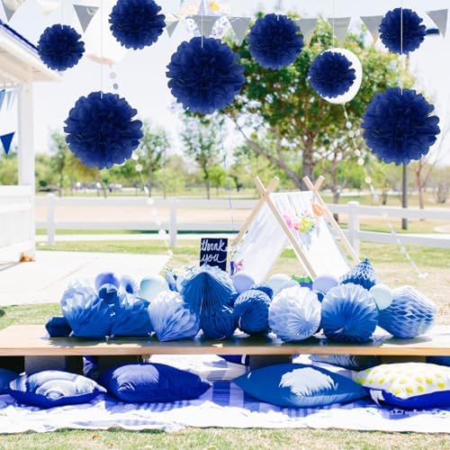 20PCS Royal Blue Tissue Paper Pom Poms for Party Decor