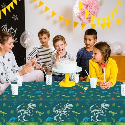 Haimimall Dinosaur Birthday Tablecloth Set of 3