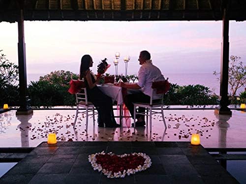 HEIPIN 2000 PCS Fake Rose Petals for Proposal Decorations and Aisle Runners for Weddings