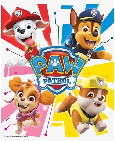 Unique Paw Patrol Birthday Party Supplies Bundle