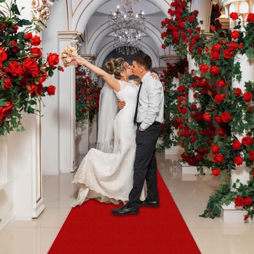 3Ft x 10Ft Red Carpet Runner for Events