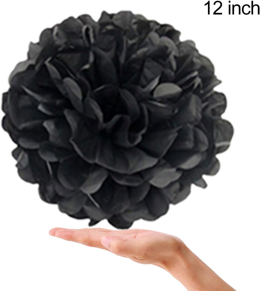 Tissue Paper Pom Poms 22Pcs Set for Party Decorations