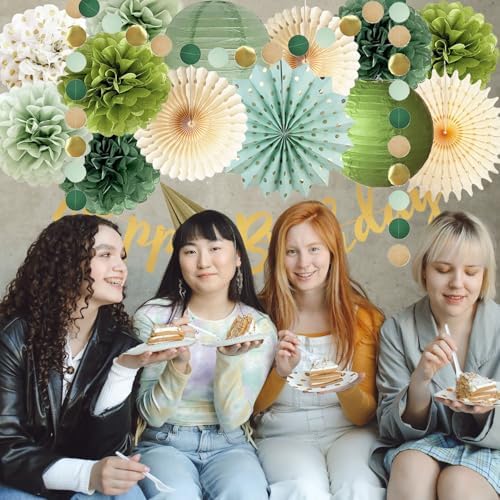 Olive Sage Green Birthday Party Decor Tissue Pom Poms Fans Lanterns