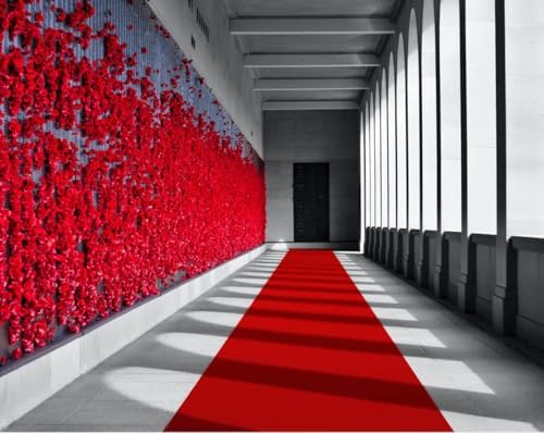3Ft x 10Ft Red Carpet Runner for Events