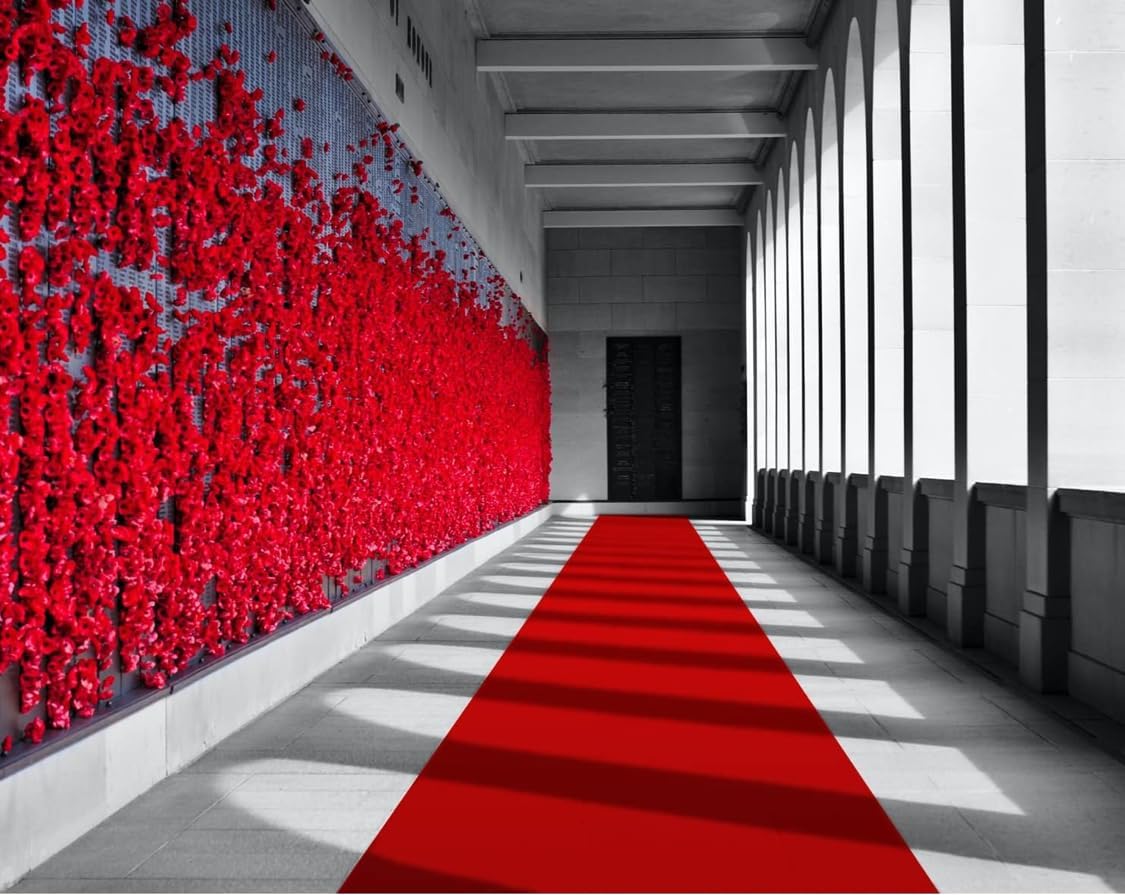 3Ft x 10Ft Red Carpet Runner for Events