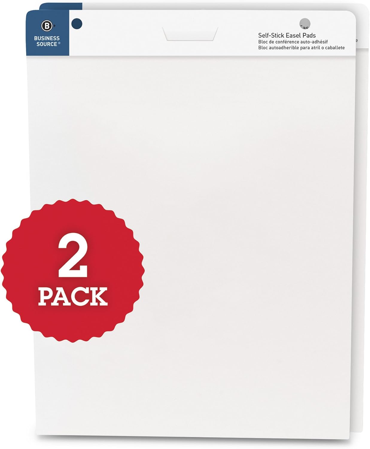 Business Source Easel Pad 2 Pack for Art and Writing