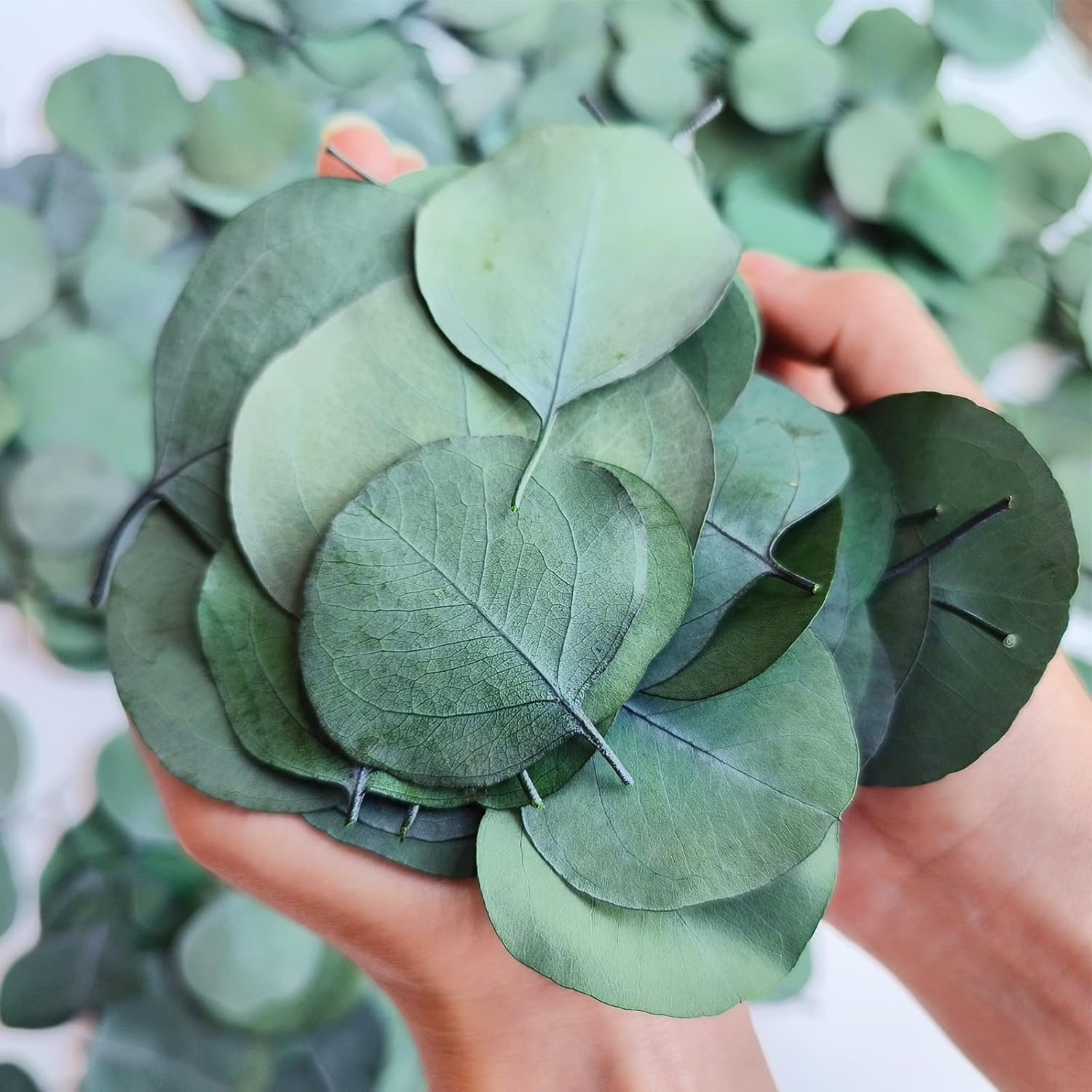 300 Pcs Dried Eucalyptus Leaves Decor
