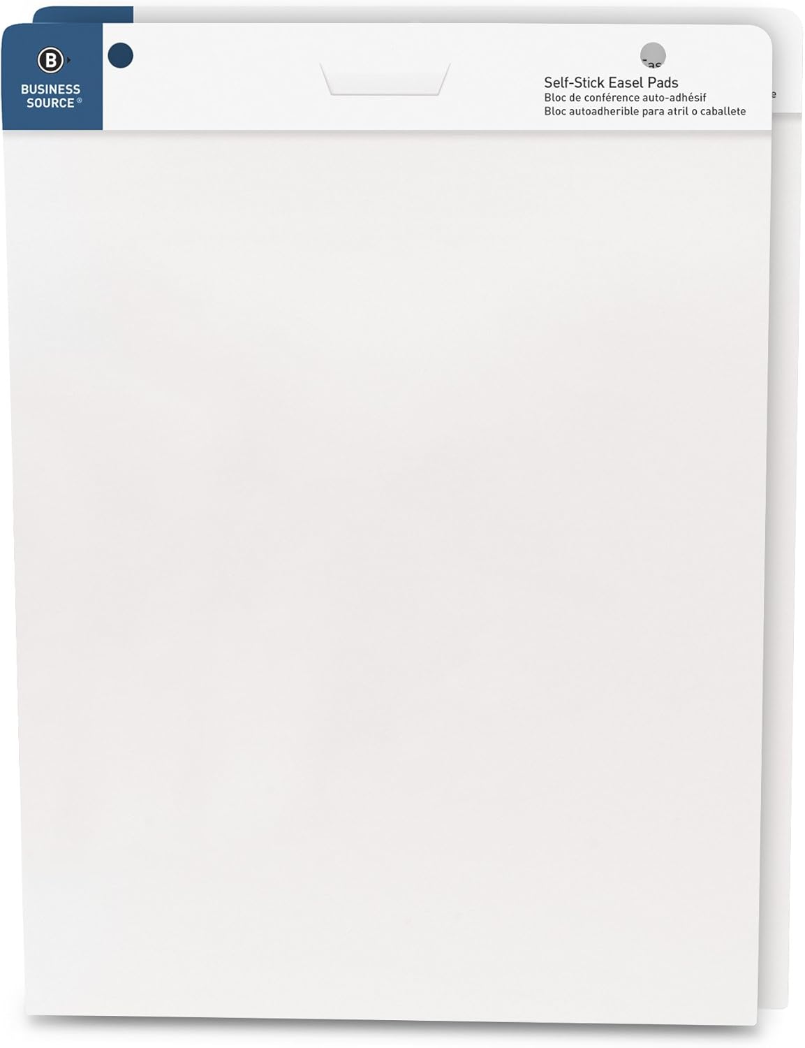 Business Source Easel Pad 2 Pack for Art and Writing