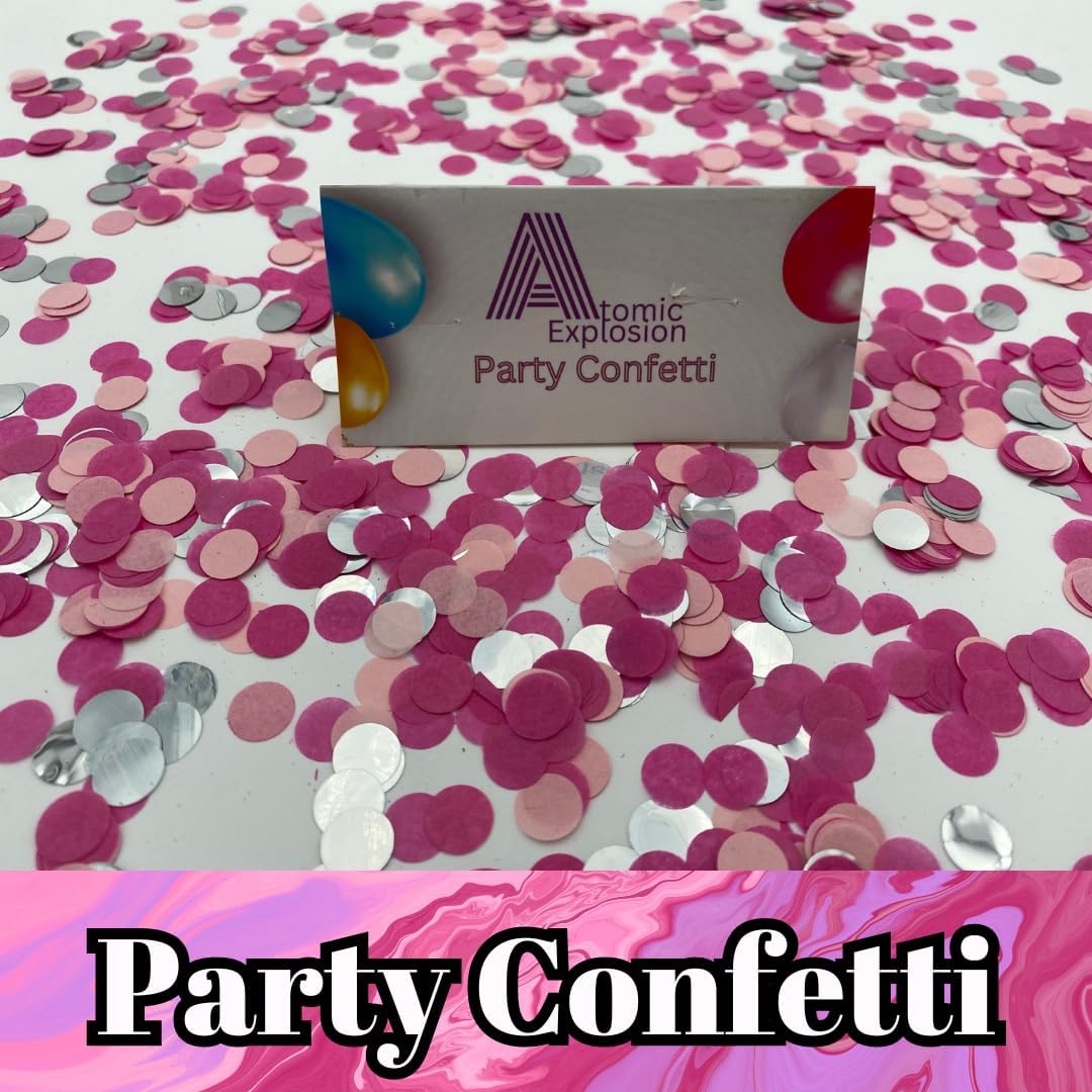 Unique Skye Paw Patrol Party Set with 16 Plates and Napkins