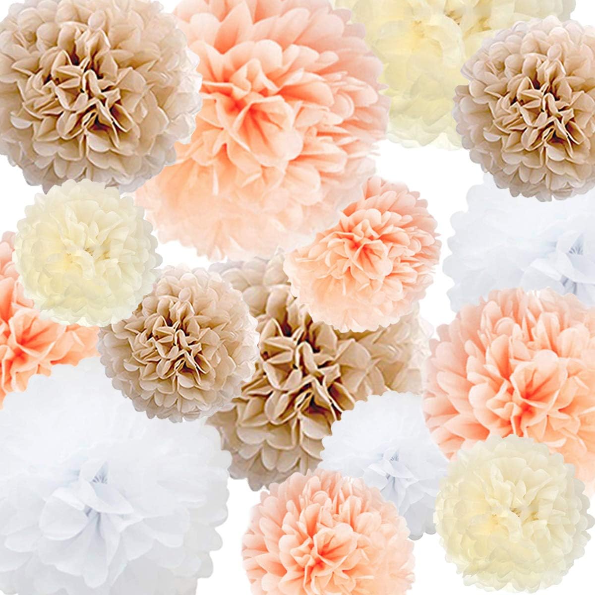 Tissue Paper Pom Poms 22 Pcs Assorted Colors Sizes for Party Decorations