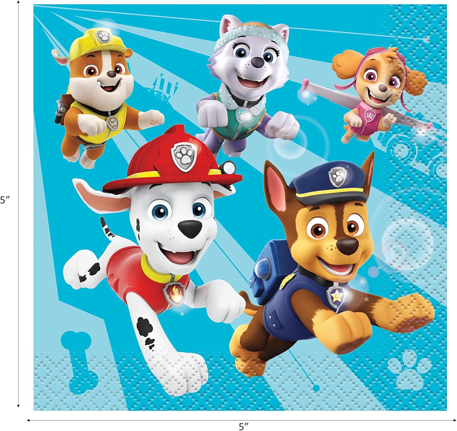 Paw Patrol Birthday Party Supplies Bundle - 16 Plates Napkins