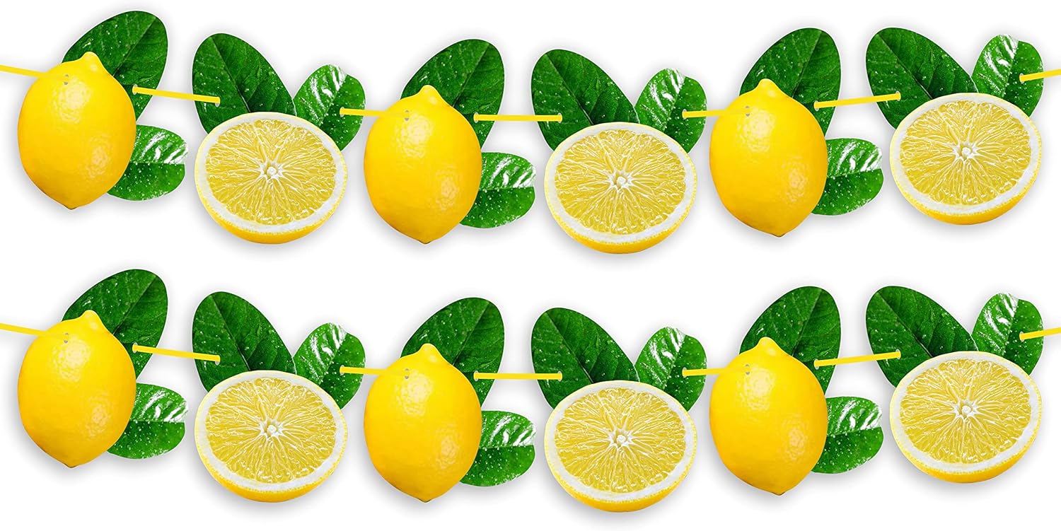 Lemon Garland Decoration for Summer Party