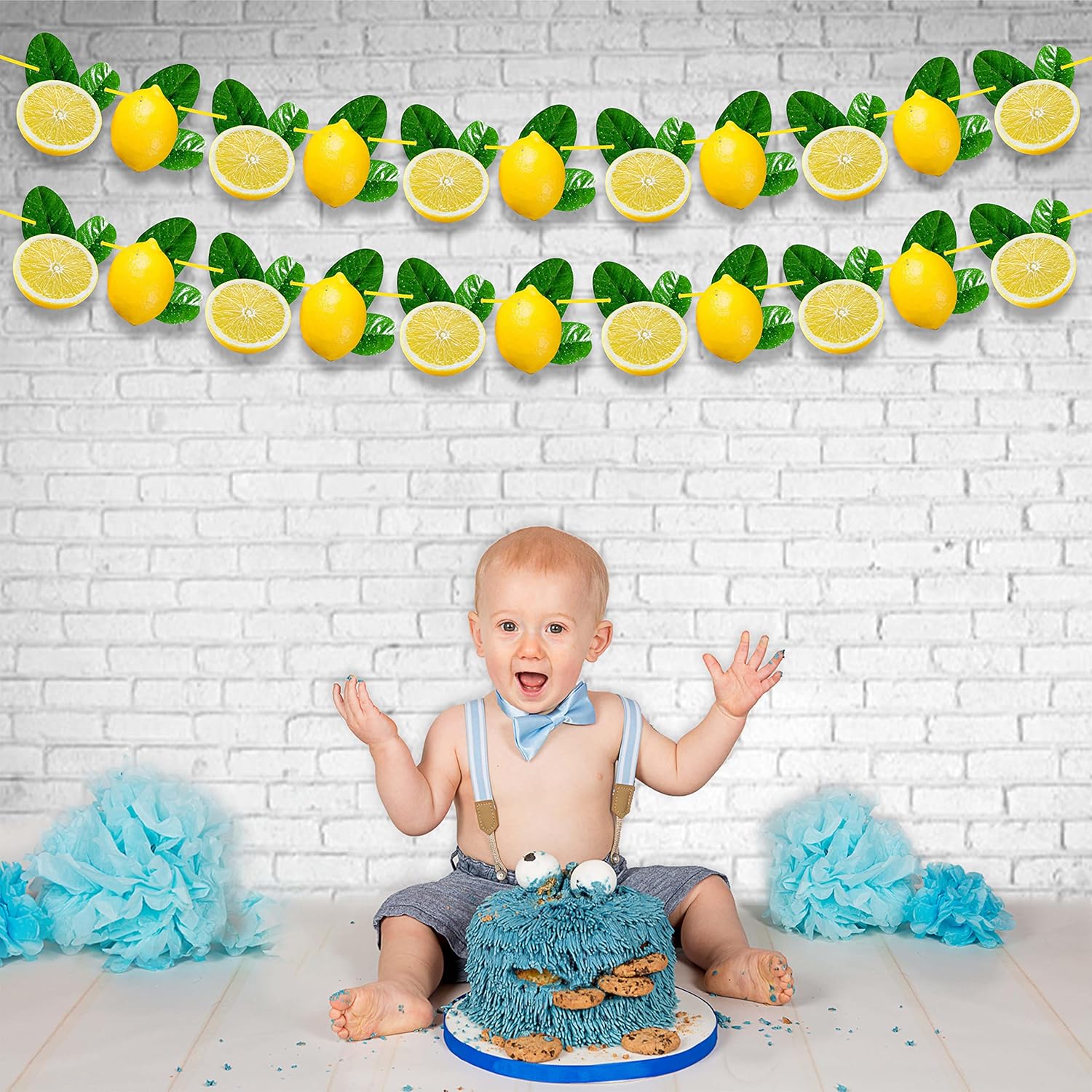 Lemon Garland Decoration for Summer Party